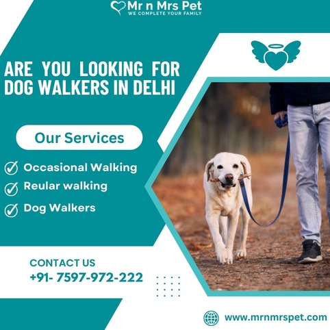 Best Dog Walkers in Delhi at Affordable Price